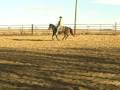 videos de roany warm up