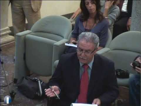 Intervento di Agostino Megale [6/8]