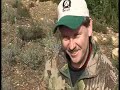 Hunting in wild boars in Tunisia