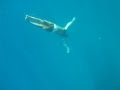 Free Diving No Fins to 18m Koh Tao Thailand