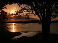 In The Secret - Andy Park