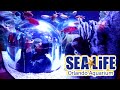 Sea Life Orlando Aquarium Military Discount