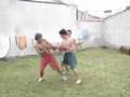 Luta de Corujas