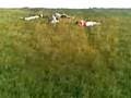 videos de Video019[1]