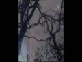 The Telescopes - Everso
