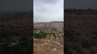 عزبة الاشقر 15 ●8●2023