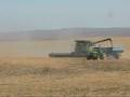 videos de Harvest 2008