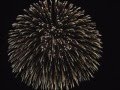 16 inch Aerial Firework Shells Knaller van siervuurwerk