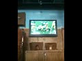 Big hit