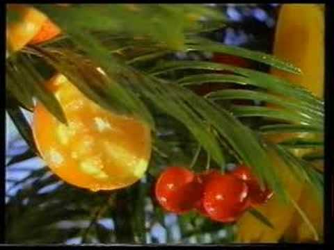 YouTube voorvertoningsafbeelding