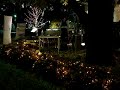 Roadside Maidenhair trees & cafe (night view)National Stadium in Japan
