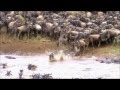 Nasikia Luxury Camps - YouTube