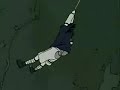 naruto amv   hawaiian roller coaster ride