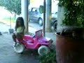 el susto de danna