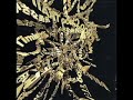 Timing　～keizo nakanishi～
