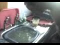 RamboTV - rambo tannin 6 eggs