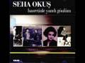 videos de Odluhlu Yay Gabahlı Gözelim - Seha Okuş