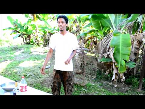 Strain Hunters Trinidad