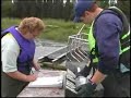 Alaska - Kenai River Fish Wheel Sampling Alaska - Kenai River Fish Wheel Sampling