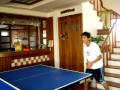 ping pong