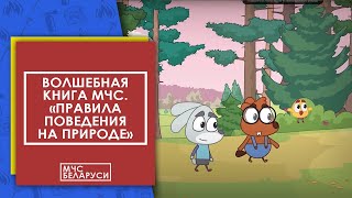 Волшебная книга МЧС