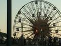 videos de THE ferris wheel....