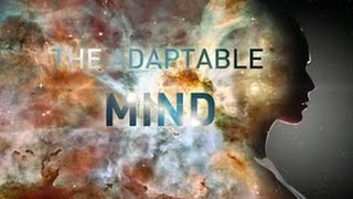 The Adaptable Mind