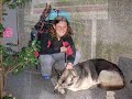 Camino de Santiago part 4
