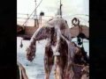 Paranormal Productions: The Weirdest of the Weird Part 1