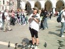 Venedig 2008