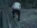 this funny jst watch and leave comments please from leonski hehehehe