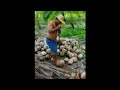 Coconut shucking