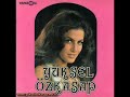 Y�ksel �zkasap - Cay Karasi