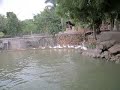 CFH Team Outting to Pragathi Resorts