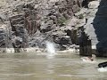 Cliff Jumping in Westwater Canyon Cliff Jumping in Westwater Canyon