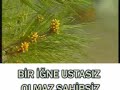 KUR\