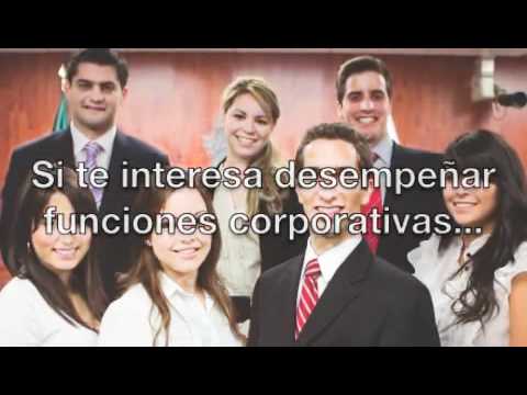 Licenciado en Derecho