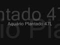 Aquário Plantado 47L 