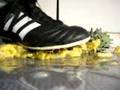 Adidas Copa Mundial cleats stomp an ananas