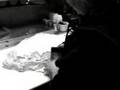 dough