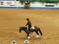 Tom McCutcheon Open Futurity 2nd Go 2007 Tom McCutcheon Open Futurity 2nd Go 2007