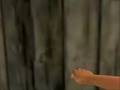 Stupid crap in Trespasser