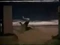 CKY stunts ....