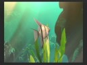 BLUE OASIS / ??????? ( Wii Ware ) BLUE OASIS / ??????? ( Wii Ware )