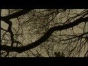 The Sky, The Earth and The Rain