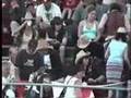 clip video Compilation Ambiance A Cheval