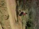 Amago1 Amago1