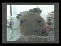 dated may 2009 but really intersting B2B - BrainToBrain: A BCI Experiment - May 2009 http://bit.ly/1X9EwF