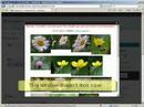 Picasa LightBox 2 Preview