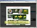 Picasa LightBox 2 Preview